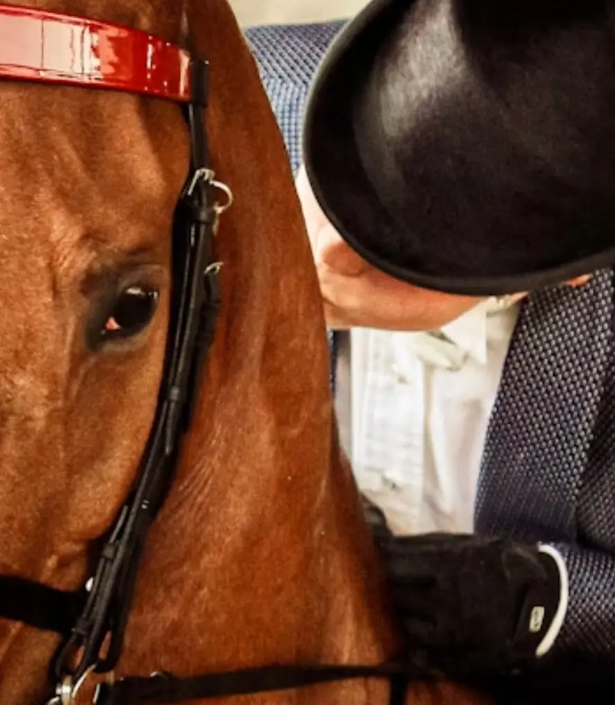 World's Championship Horse Show