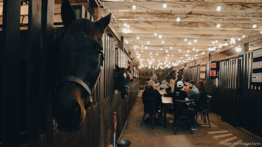 Horses & Bourbon